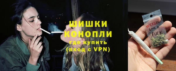 spice Аркадак