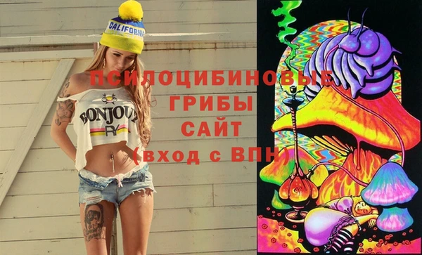 альфа пвп Армянск