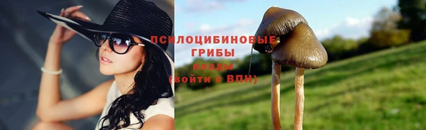 spice Аркадак