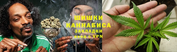 spice Аркадак