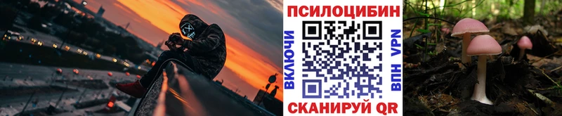 Псилоцибиновые грибы Magic Shrooms  Белокуриха 